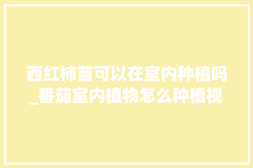 西红柿苗可以在室内种植吗_番茄室内植物怎么种植视频 西红柿苗可以在室内种植吗_番茄室内植物怎么种植视频 植物种类