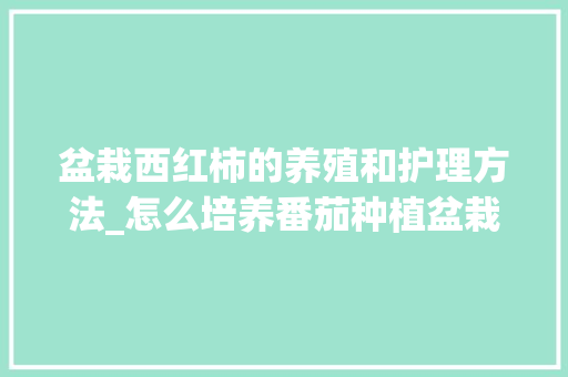 盆栽西红柿的养殖和护理方法_怎么培养番茄种植盆栽呢 盆栽西红柿的养殖和护理方法_怎么培养番茄种植盆栽呢 番茄种植技巧