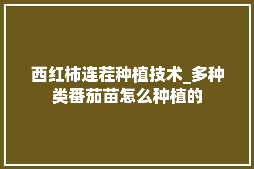 西红柿连茬种植技术_多种类番茄苗怎么种植的 西红柿连茬种植技术_多种类番茄苗怎么种植的 种植技巧
