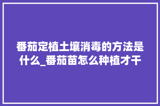 番茄定植土壤消毒的方法是什么_番茄苗怎么种植才干净视频 番茄定植土壤消毒的方法是什么_番茄苗怎么种植才干净视频 番茄种植技巧