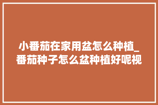 小番茄在家用盆怎么种植_番茄种子怎么盆种植好呢视频 小番茄在家用盆怎么种植_番茄种子怎么盆种植好呢视频 种植技巧