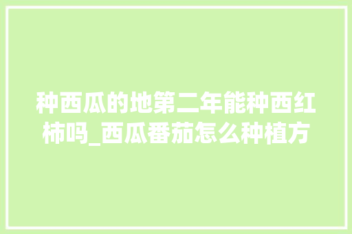 种西瓜的地第二年能种西红柿吗_西瓜番茄怎么种植方法