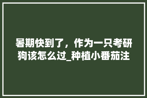 暑期快到了，作为一只考研狗该怎么过_种植小番茄注意事项
