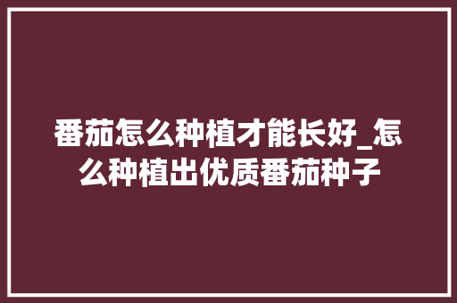 番茄怎么种植才能长好_怎么种植出优质番茄种子