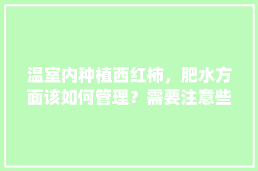温室内种植西红柿，肥水方面该如何管理？需要注意些什么_小暖棚种番茄怎么种植视频 温室内种植西红柿，肥水方面该如何管理？需要注意些什么_小暖棚种番茄怎么种植视频 农业常识