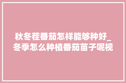 秋冬茬番茄怎样能够种好_冬季怎么种植番茄苗子呢视频