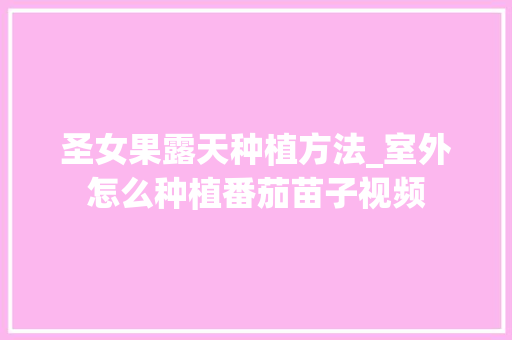 圣女果露天种植方法_室外怎么种植番茄苗子视频 圣女果露天种植方法_室外怎么种植番茄苗子视频 种植技巧