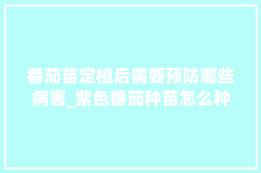 番茄苗定植后需要预防哪些病害_紫色番茄种苗怎么种植视频