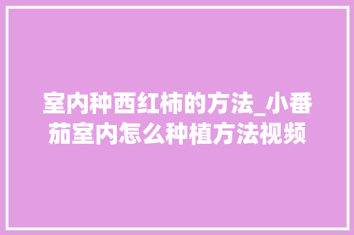 室内种西红柿的方法_小番茄室内怎么种植方法视频 室内种西红柿的方法_小番茄室内怎么种植方法视频 种植技巧