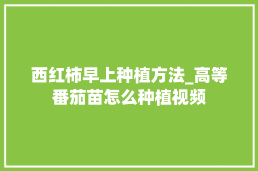 西红柿早上种植方法_高等番茄苗怎么种植视频 番茄种植技巧 西红柿早上种植方法_高等番茄苗怎么种植视频 西红柿早上种植方法_高等番茄苗怎么种植视频 番茄种植技巧