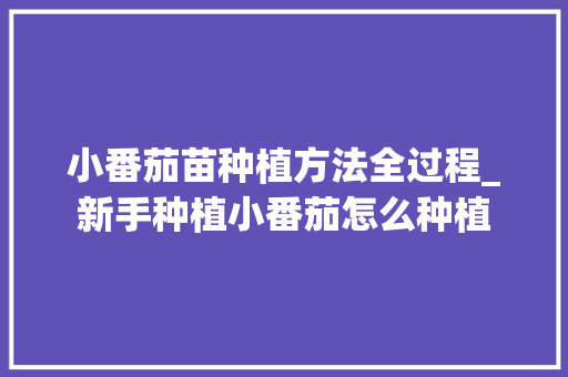小番茄苗种植方法全过程_新手种植小番茄怎么种植 小番茄苗种植方法全过程_新手种植小番茄怎么种植 花朵知识