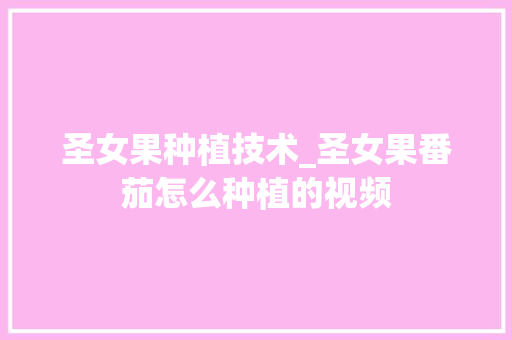 圣女果种植技术_圣女果番茄怎么种植的视频 圣女果种植技术_圣女果番茄怎么种植的视频 植物种类