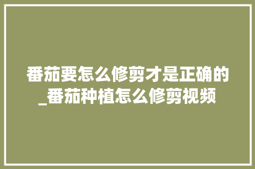 番茄要怎么修剪才是正确的_番茄种植怎么修剪视频 番茄要怎么修剪才是正确的_番茄种植怎么修剪视频 番茄种植技巧