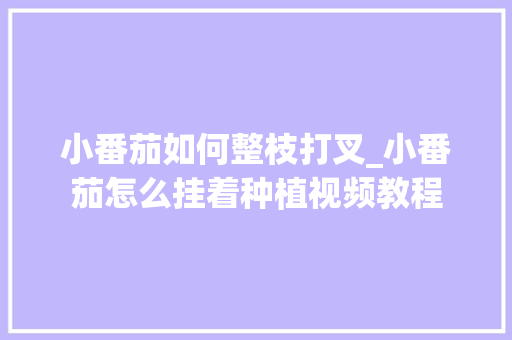 小番茄如何整枝打叉_小番茄怎么挂着种植视频教程 小番茄如何整枝打叉_小番茄怎么挂着种植视频教程 花朵知识