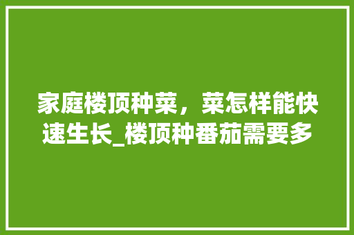家庭楼顶种菜,菜怎样能快速生长_楼顶种番茄需要多厚的土 番茄种植技巧 家庭楼顶种菜,菜怎样能快速生长_楼顶种番茄需要多厚的土 家庭楼顶种菜,菜怎样能快速生长_楼顶种番茄需要多厚的土 番茄种植技巧