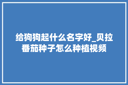 给狗狗起什么名字好_贝拉番茄种子怎么种植视频 农业常识 给狗狗起什么名字好_贝拉番茄种子怎么种植视频 给狗狗起什么名字好_贝拉番茄种子怎么种植视频 农业常识