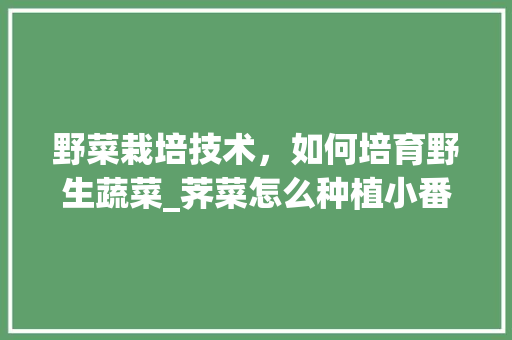 野菜栽培技术，如何培育野生蔬菜_荠菜怎么种植小番茄苗视频 野菜栽培技术，如何培育野生蔬菜_荠菜怎么种植小番茄苗视频 番茄病虫害防治