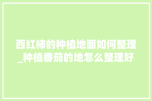 西红柿的种植地面如何整理_种植番茄的地怎么整理好