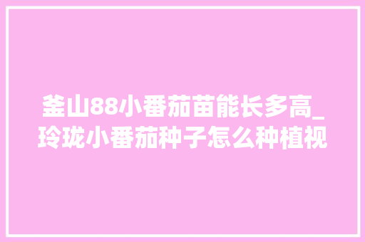 釜山88小番茄苗能长多高_玲珑小番茄种子怎么种植视频 釜山88小番茄苗能长多高_玲珑小番茄种子怎么种植视频 花朵知识