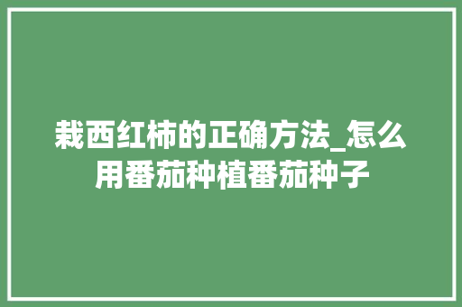 栽西红柿的正确方法_怎么用番茄种植番茄种子 栽西红柿的正确方法_怎么用番茄种植番茄种子 植物种类