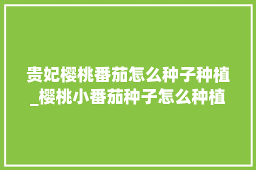 贵妃樱桃番茄怎么种子种植_樱桃小番茄种子怎么种植视频 贵妃樱桃番茄怎么种子种植_樱桃小番茄种子怎么种植视频 土壤施肥