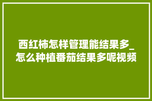 西红柿怎样管理能结果多_怎么种植番茄结果多呢视频