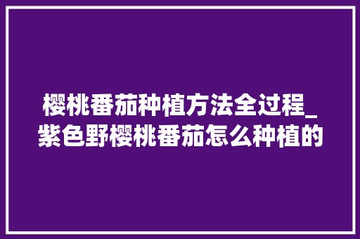 樱桃番茄种植方法全过程_紫色野樱桃番茄怎么种植的 樱桃番茄种植方法全过程_紫色野樱桃番茄怎么种植的 花朵知识
