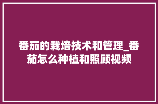 番茄的栽培技术和管理_番茄怎么种植和照顾视频