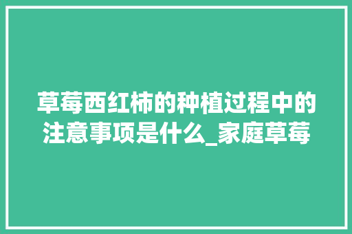 草莓西红柿的种植过程中的注意事项是什么_家庭草莓番茄怎么种植视频