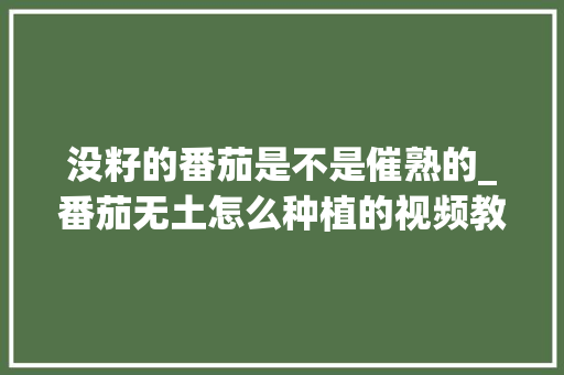 没籽的番茄是不是催熟的_番茄无土怎么种植的视频教程