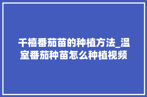 千禧番茄苗的种植方法_温室番茄种苗怎么种植视频 千禧番茄苗的种植方法_温室番茄种苗怎么种植视频 土壤施肥