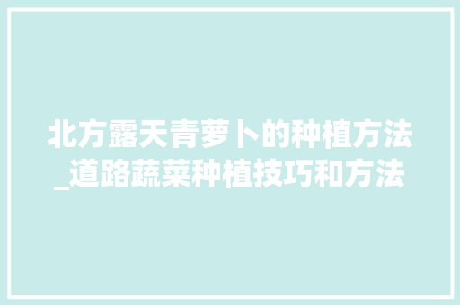 北方露天青萝卜的种植方法_道路蔬菜种植技巧和方法