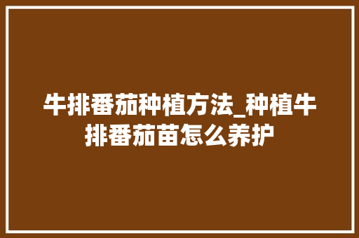 牛排番茄种植方法_种植牛排番茄苗怎么养护
