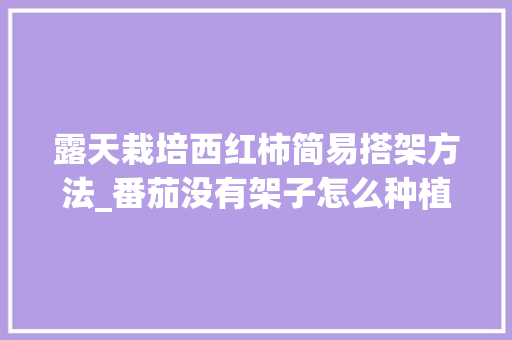 露天栽培西红柿简易搭架方法_番茄没有架子怎么种植视频