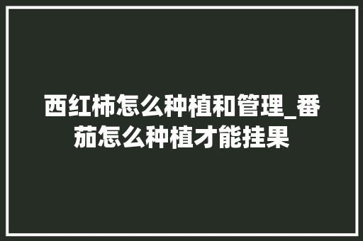 西红柿怎么种植和管理_番茄怎么种植才能挂果 西红柿怎么种植和管理_番茄怎么种植才能挂果 番茄种植技巧