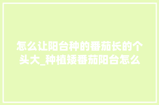怎么让阳台种的番茄长的个头大_种植矮番茄阳台怎么种植的 怎么让阳台种的番茄长的个头大_种植矮番茄阳台怎么种植的 植物种类