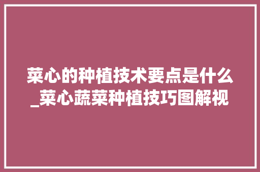 菜心的种植技术要点是什么_菜心蔬菜种植技巧图解视频
