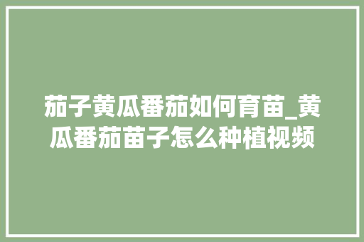 茄子黄瓜番茄如何育苗_黄瓜番茄苗子怎么种植视频