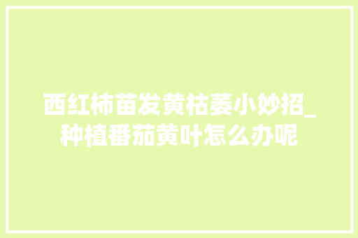 西红柿苗发黄枯萎小妙招_种植番茄黄叶怎么办呢 西红柿苗发黄枯萎小妙招_种植番茄黄叶怎么办呢 植物种类
