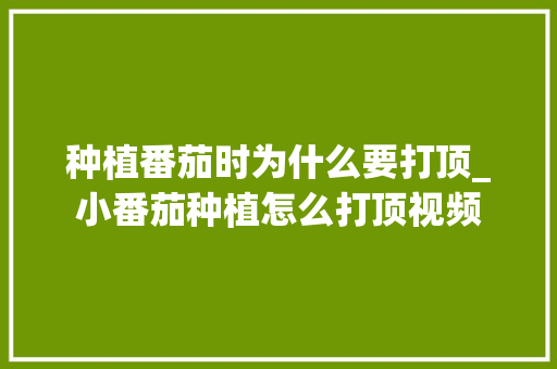种植番茄时为什么要打顶_小番茄种植怎么打顶视频 种植番茄时为什么要打顶_小番茄种植怎么打顶视频 种植技巧
