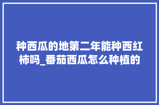 种西瓜的地第二年能种西红柿吗_番茄西瓜怎么种植的视频 种西瓜的地第二年能种西红柿吗_番茄西瓜怎么种植的视频 番茄种植技巧