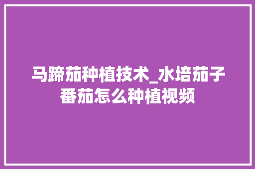 马蹄茄种植技术_水培茄子番茄怎么种植视频 马蹄茄种植技术_水培茄子番茄怎么种植视频 番茄病虫害防治
