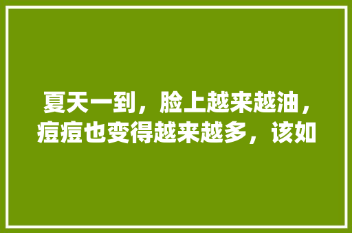 夏天一到，脸上越来越油，痘痘也变得越来越多，该如何去掉脸上痘痘_贝斯番茄种子怎么种植视频 夏天一到，脸上越来越油，痘痘也变得越来越多，该如何去掉脸上痘痘_贝斯番茄种子怎么种植视频 番茄种植技巧