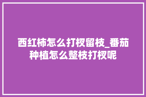 西红柿怎么打杈留枝_番茄种植怎么整枝打杈呢 西红柿怎么打杈留枝_番茄种植怎么整枝打杈呢 土壤施肥