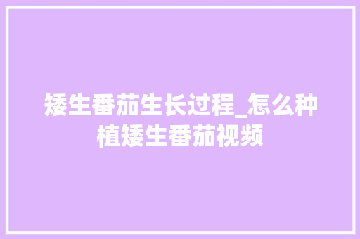 矮生番茄生长过程_怎么种植矮生番茄视频 矮生番茄生长过程_怎么种植矮生番茄视频 番茄病虫害防治