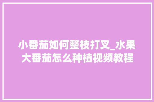 小番茄如何整枝打叉_水果大番茄怎么种植视频教程 小番茄如何整枝打叉_水果大番茄怎么种植视频教程 植物种类