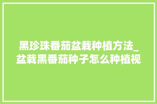 黑珍珠番茄盆栽种植方法_盆栽黑番茄种子怎么种植视频 黑珍珠番茄盆栽种植方法_盆栽黑番茄种子怎么种植视频 番茄病虫害防治