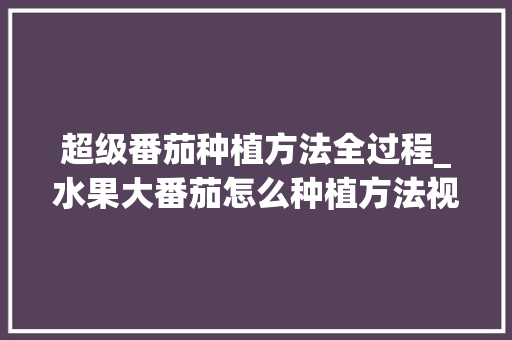 超级番茄种植方法全过程_水果大番茄怎么种植方法视频