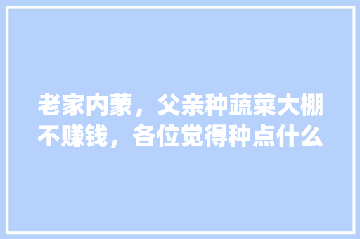老家内蒙，父亲种蔬菜大棚不赚钱，各位觉得种点什么好呢_大棚蔬菜种植卖菜技巧和方法 老家内蒙，父亲种蔬菜大棚不赚钱，各位觉得种点什么好呢_大棚蔬菜种植卖菜技巧和方法 花朵知识