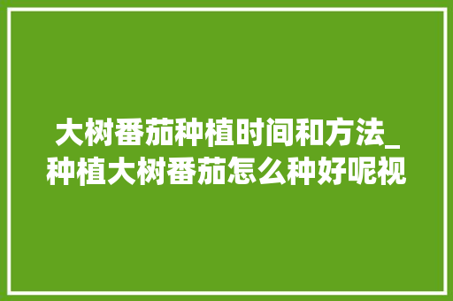 大树番茄种植时间和方法_种植大树番茄怎么种好呢视频 大树番茄种植时间和方法_种植大树番茄怎么种好呢视频 土壤施肥